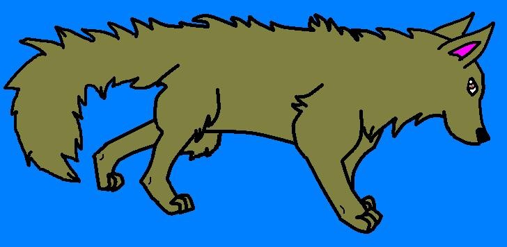Scruffy Wolf
