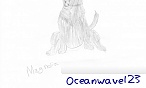 oceanwave123