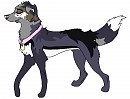 New character!