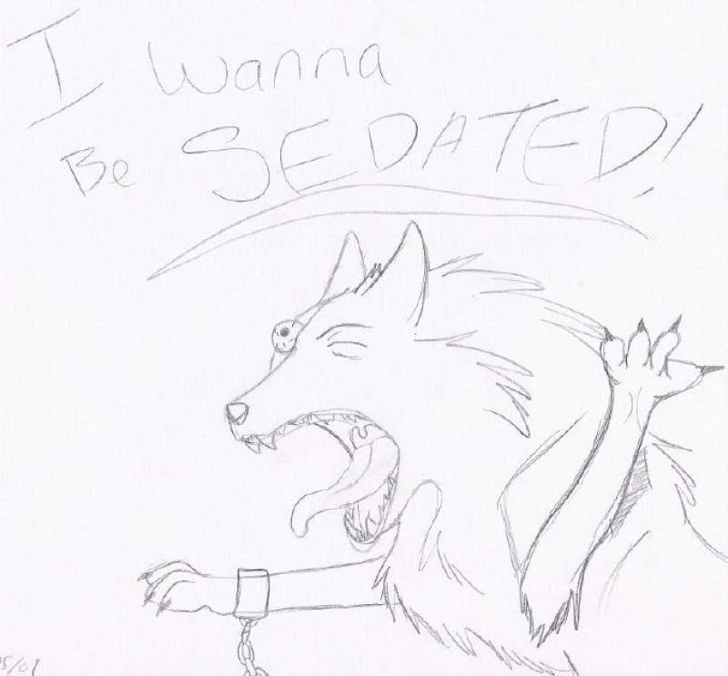 Wanna Be Sedated