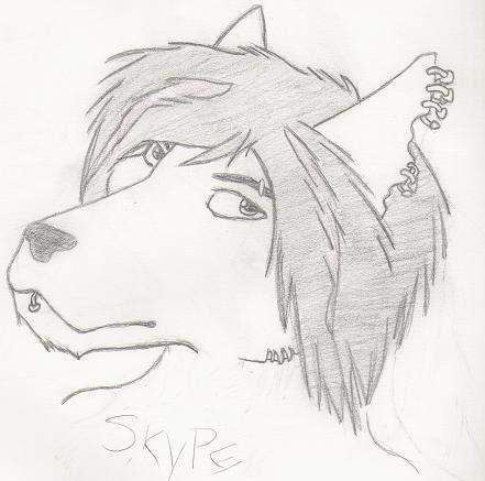 Skypes Pretty Face