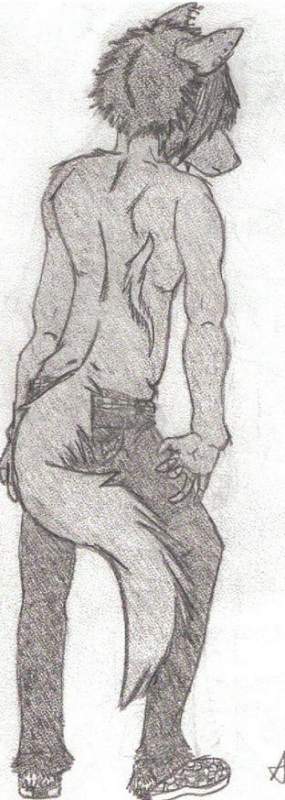 Skype Body