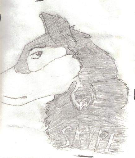 Skype