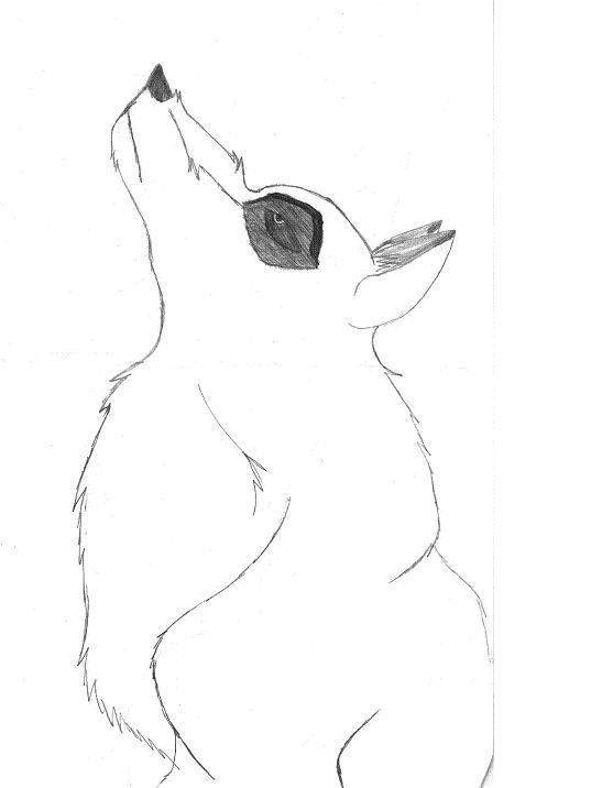 Aniu Looks