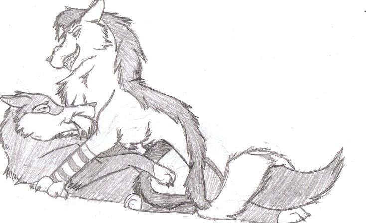 Midnight and Skype