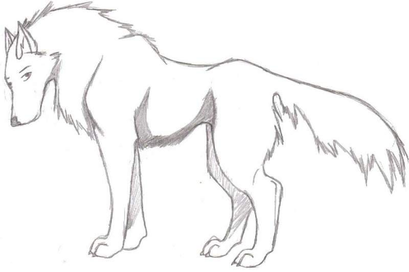 aniu