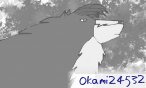 okami24532