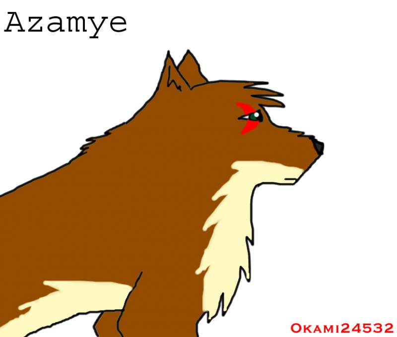 My New Character Azamye