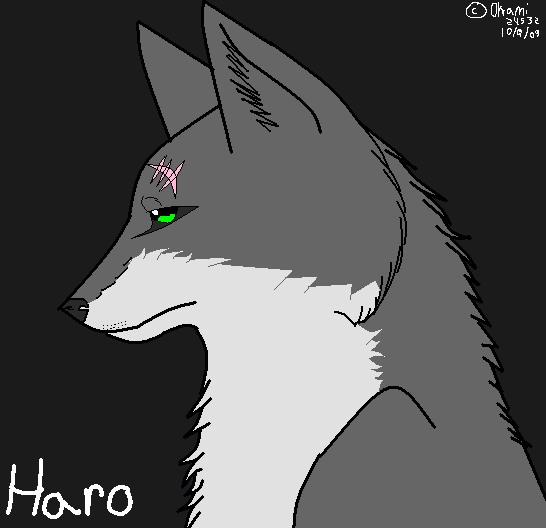 Haro Realstic