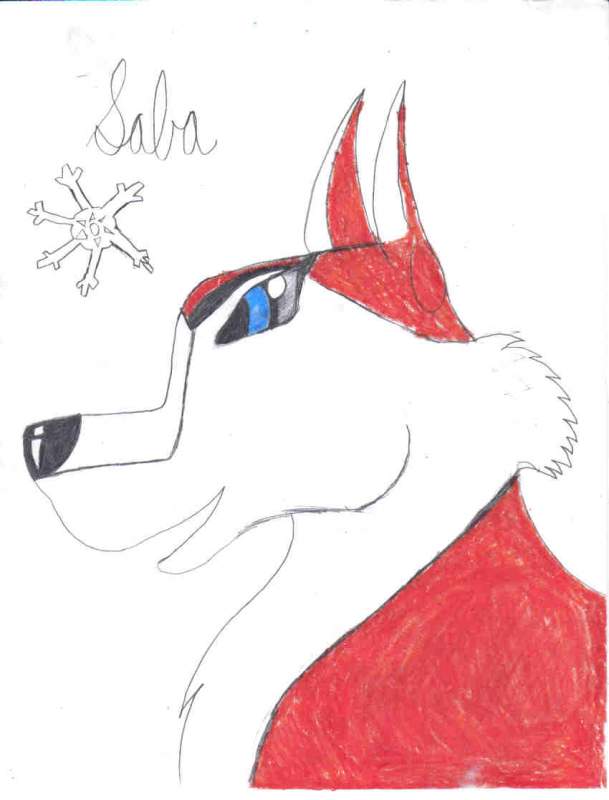 Saba