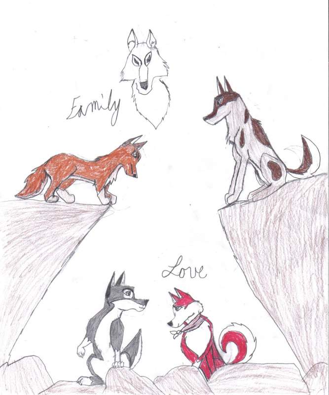 Balto Cover Contest Drawing