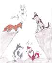 Balto Cover Contest Drawing