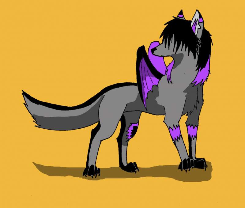 Lila (C) Cherry-wlf