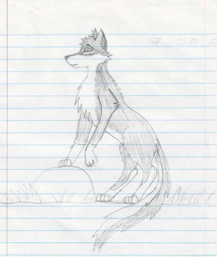 drawing of balto in progress