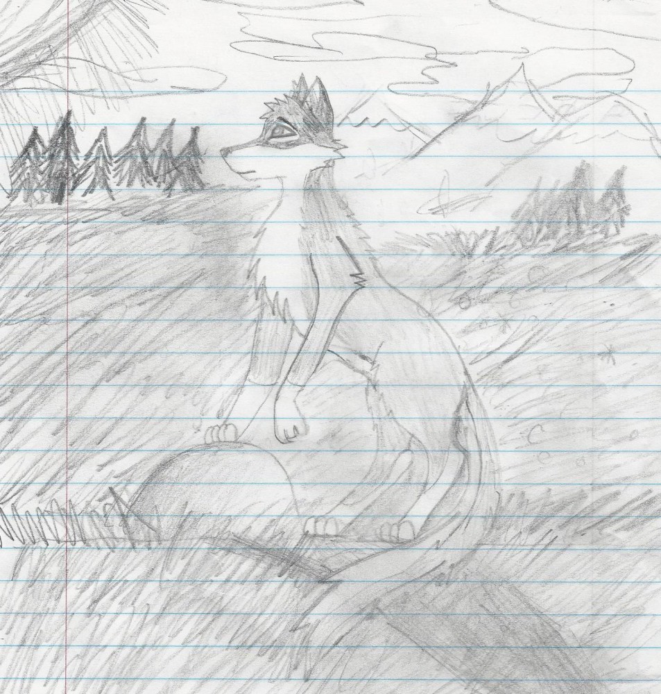 final drawing with background