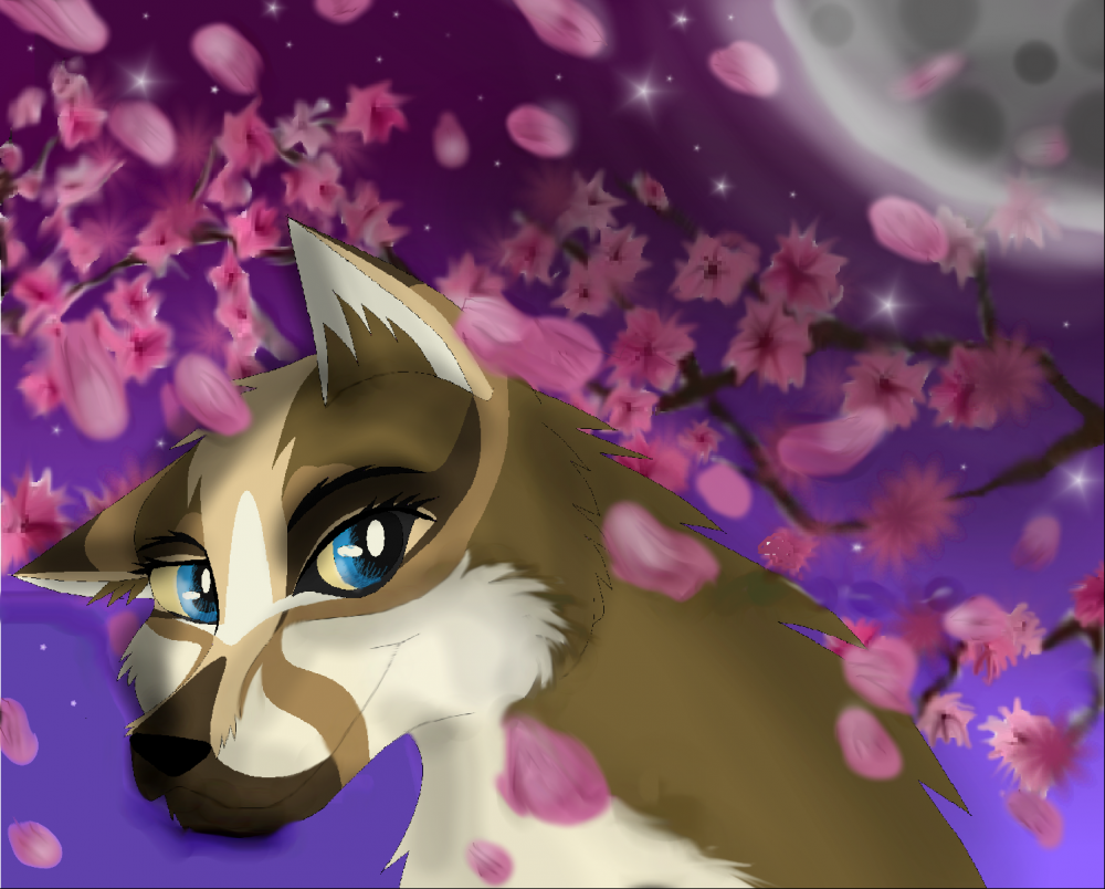 in the moon I rise