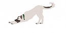 My Fursona Monali