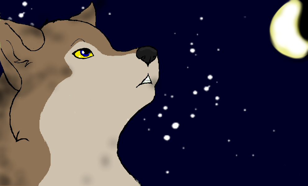 Aleu