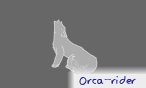 orca_rider