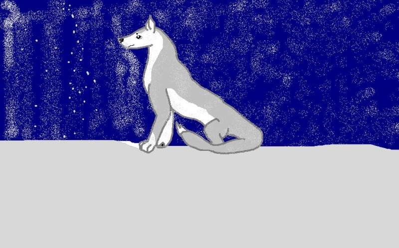 Snow wolf