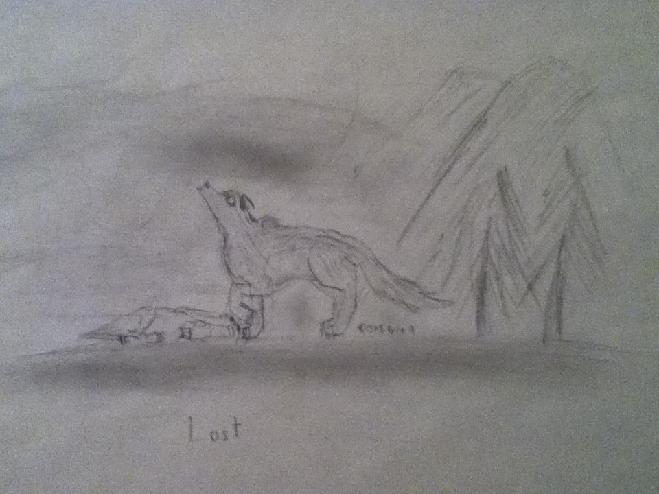 Lost