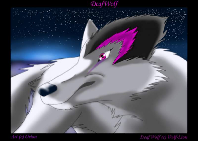 Request by Wolf-Lion
