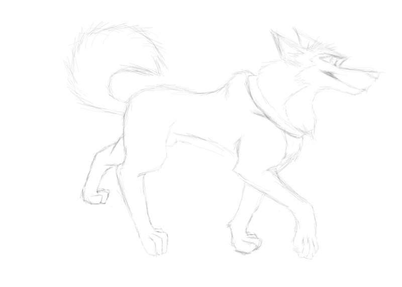 Part 1 of wolf girls request