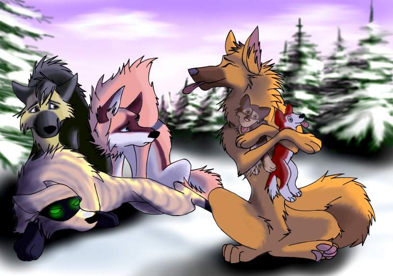 Request from I-am-Aleu-the-Wolf