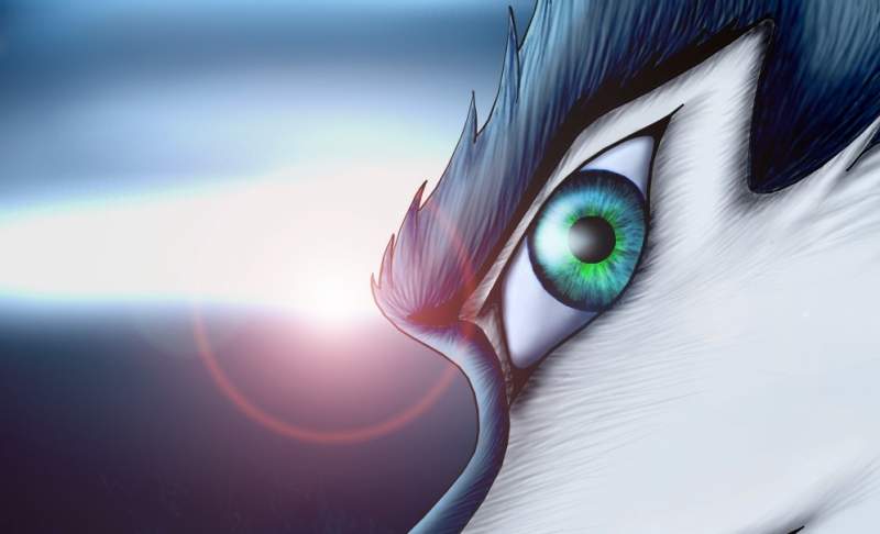 The Eye
