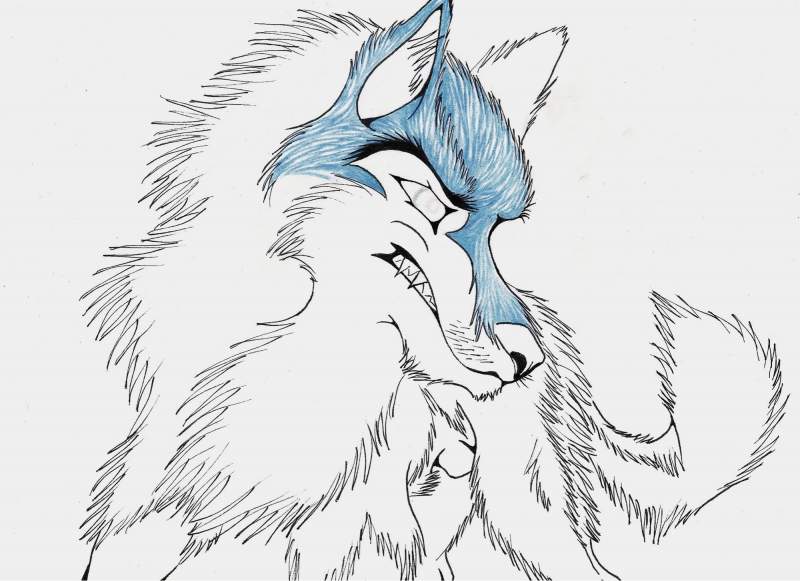 Another Orion WIP