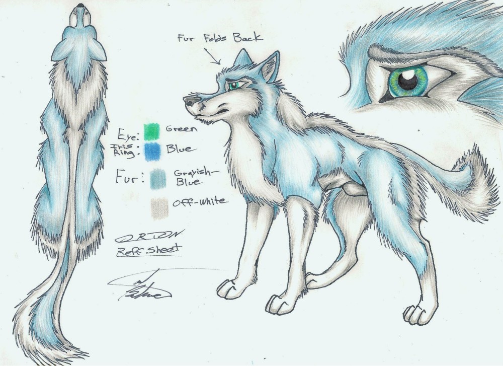 Orion Refference Sheet