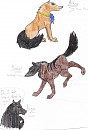 Astra, Bobcat, & Luxa