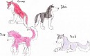 Kodi's & Dusty's Pups