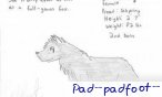 Padfoot;]