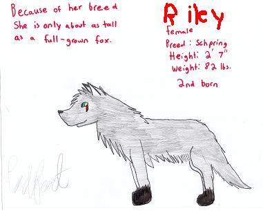 My Fursona Riley