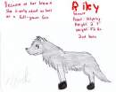 My Fursona Riley