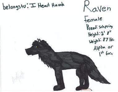 Raven belongs to I Heart Havok