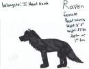 Raven belongs to I Heart Havok