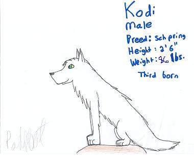 Kodi, Riley's Brother