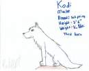 Kodi, Riley's Brother