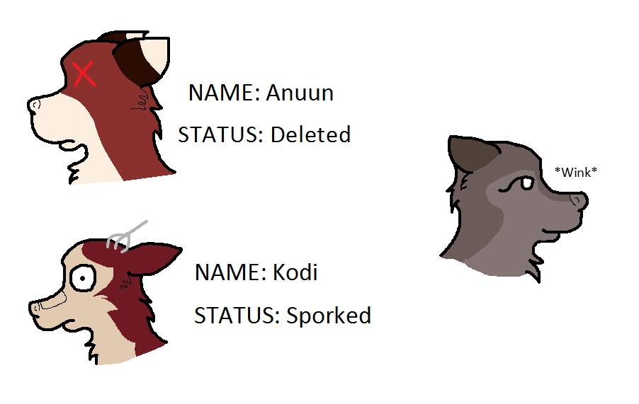 Kodi Looks Like a Deer Dx