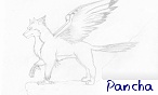 pancha