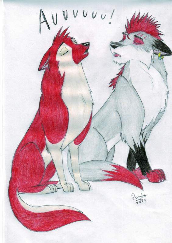 Konya and Xak