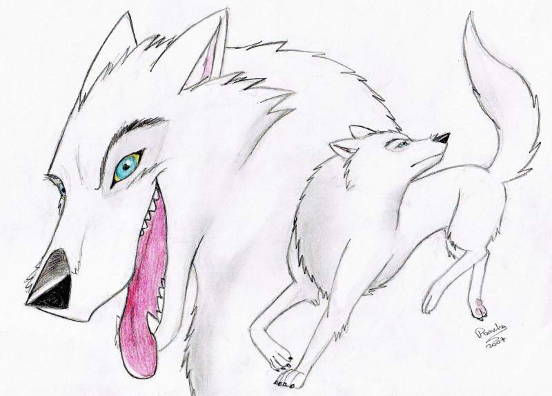 Request of Padfoot-THP(AF)