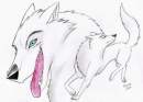 Request of Padfoot-THP(AF)