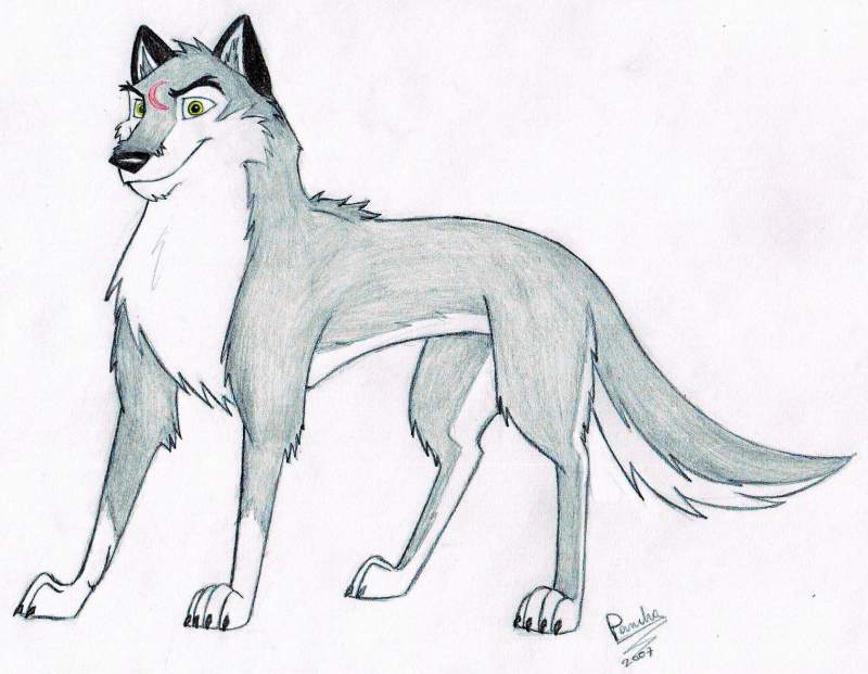 Zarko