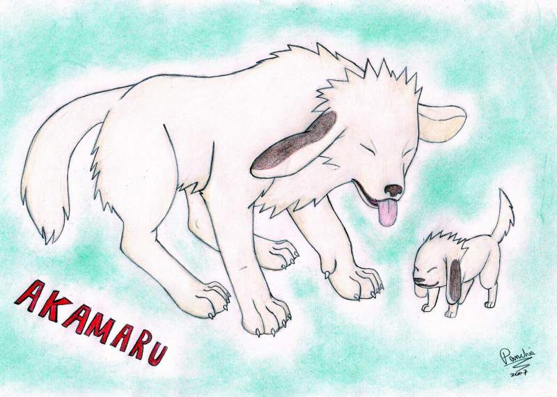 Akamaru