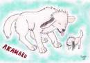Akamaru