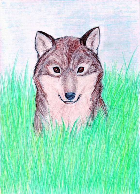 Balto