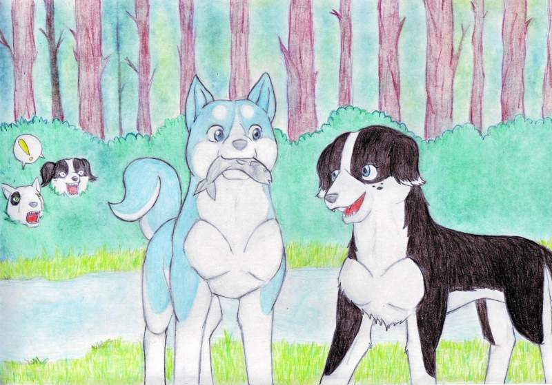 Sukua & Weed